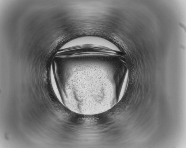 X0000095910693200802011151