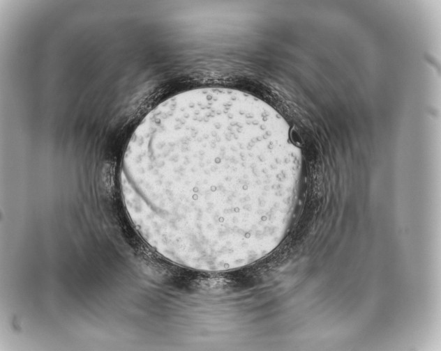 X0000095910695200802011151