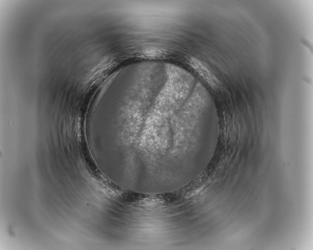 X0000095910696200802011151