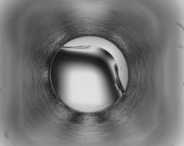 X0000095910697200802011151