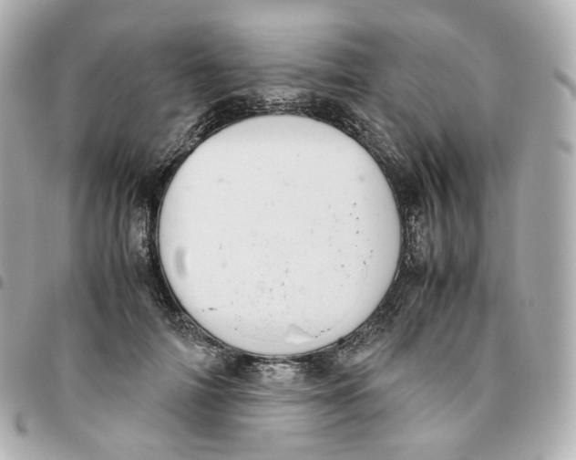 X0000095910698200802011151