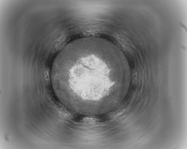 X0000095910699200802011151