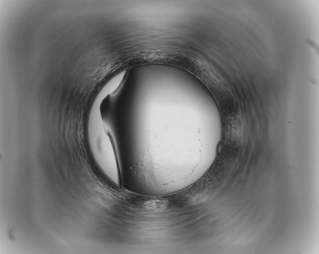 X0000095910700200802011151