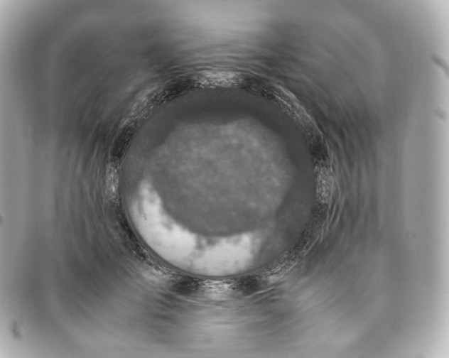 X0000095910701200802011151