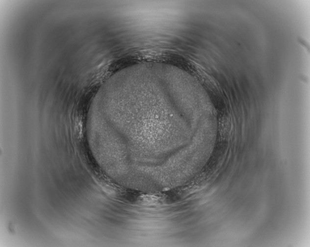 X0000095910703200802011151