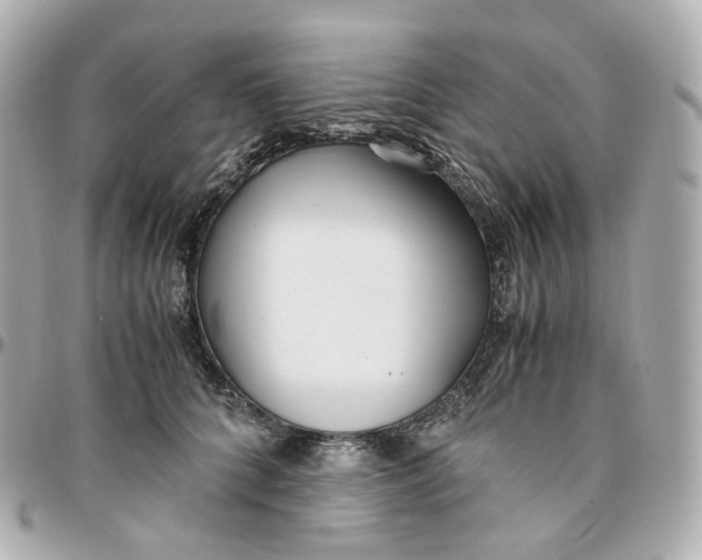 X0000095910704200802011150