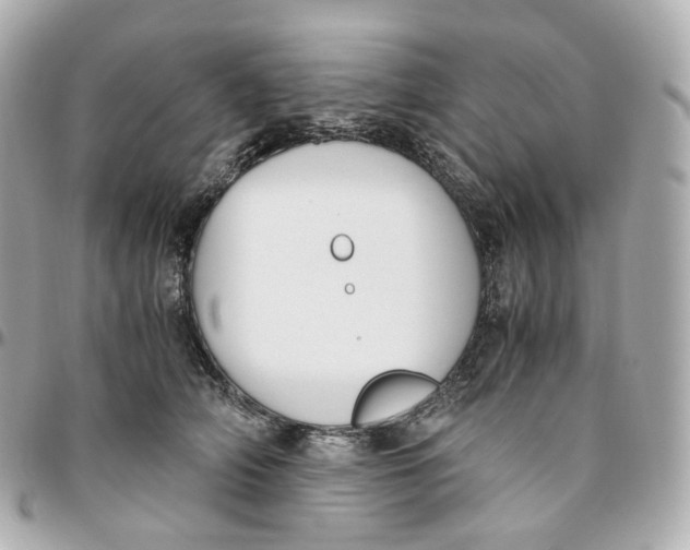 X0000095910706200802011150