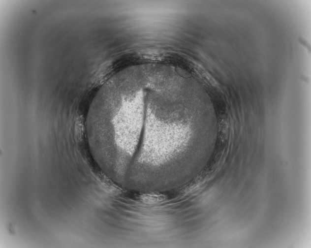 X0000095910707200802011150