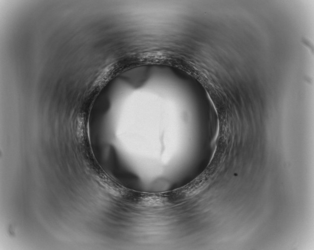 X0000095910708200802011150