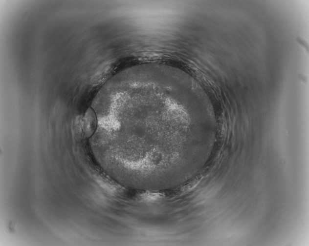 X0000095910711200802011150