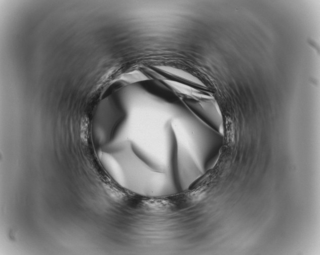 X0000095910712200802011150