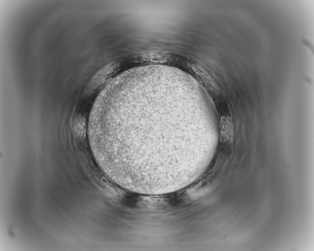 X0000095910713200802011150