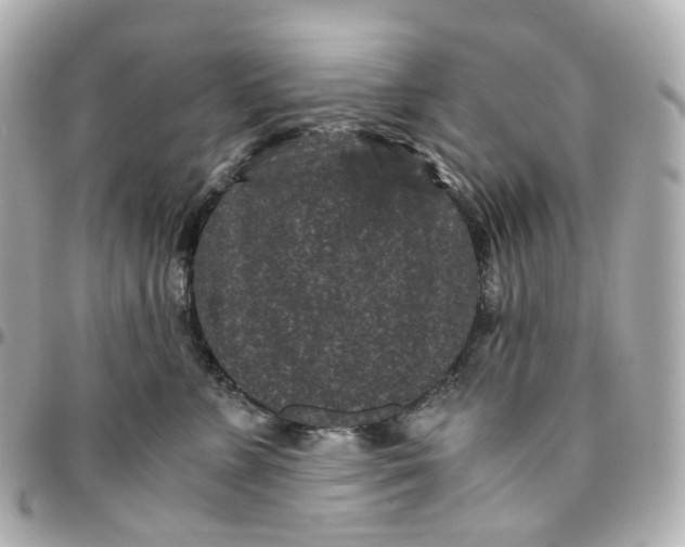 X0000095910715200802011150