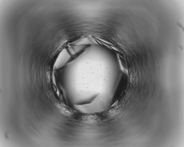 X0000095910716200802011150