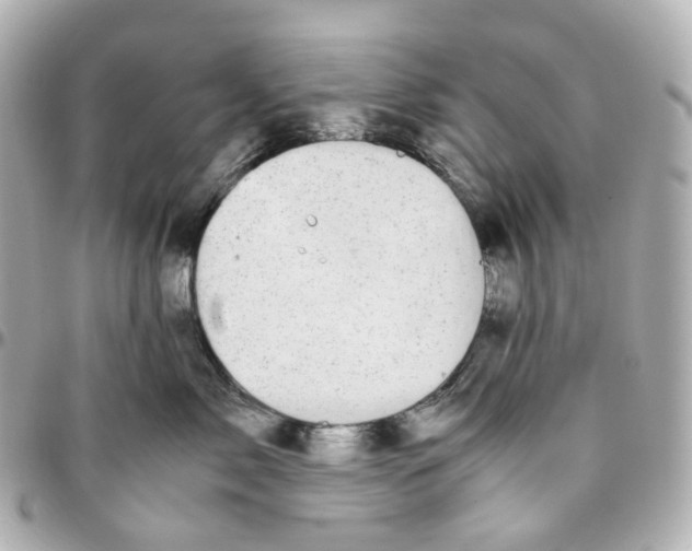 X0000095910717200802011150