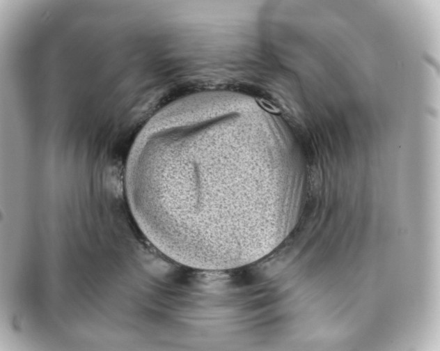 X0000095910719200802011150