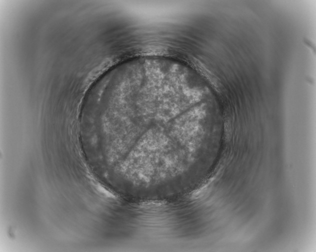 X0000095910721200802011150