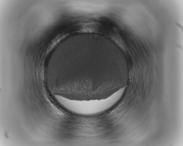 X0000095910722200802011150