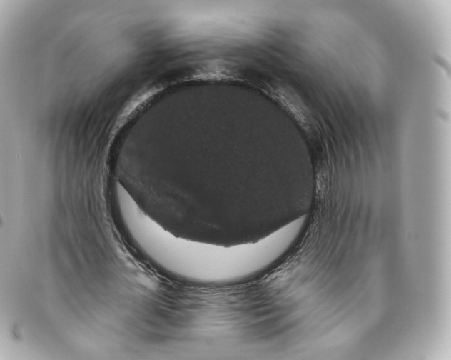 X0000095910724200802011150