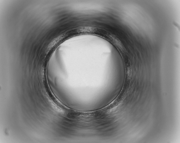 X0000095910725200802011150