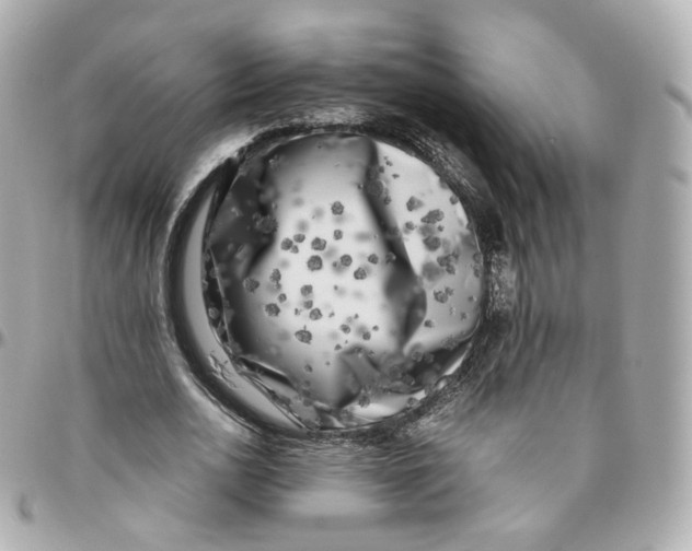 X0000095910726200802011150