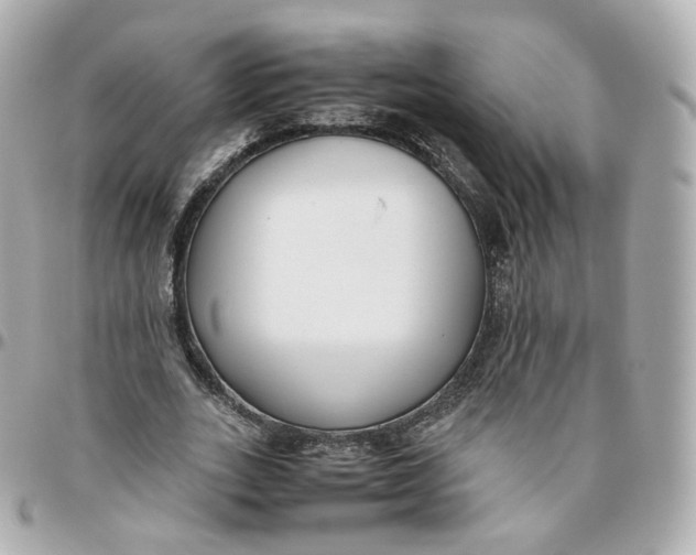 X0000095910727200802011150