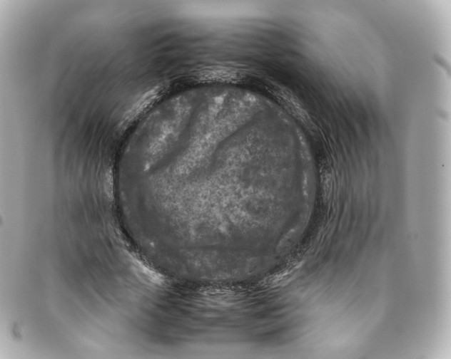 X0000095910729200802011150