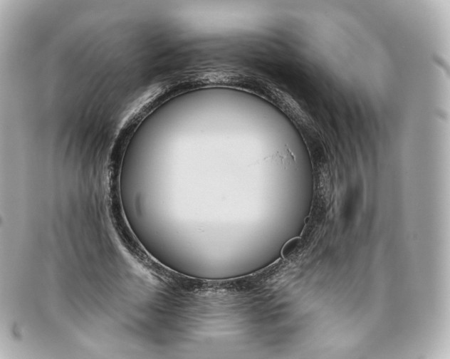 X0000095910730200802011150