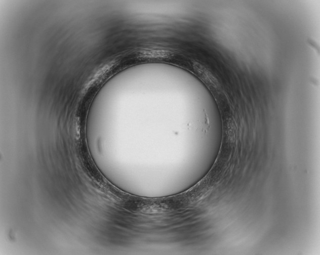 X0000095910731200802011150