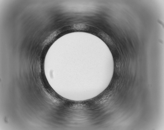 X0000095910734200802011150