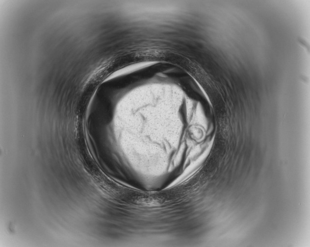 X0000095910735200802011150