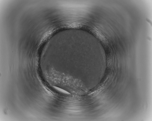 X0000095910736200802011150