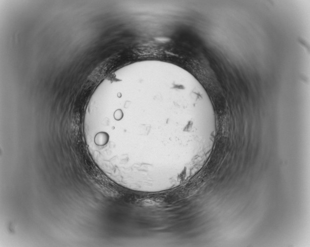 X0000095910737200802011150