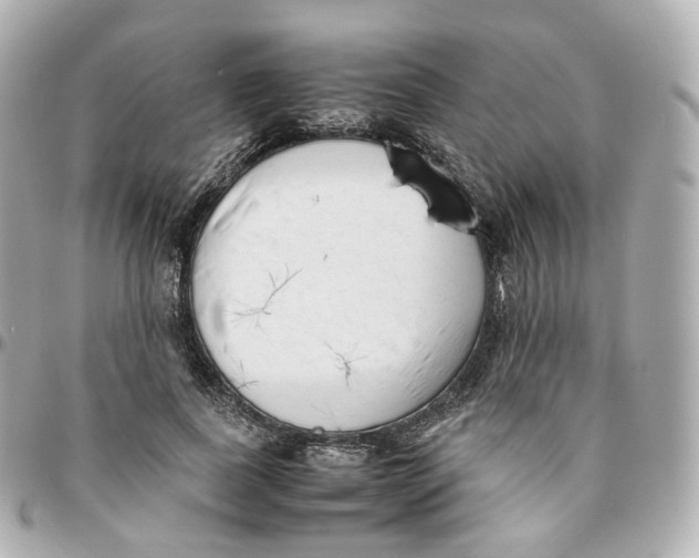 X0000095910739200802011150