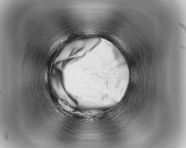 X0000095910740200802011150