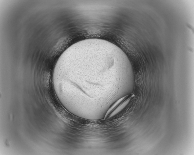 X0000095910742200802011150