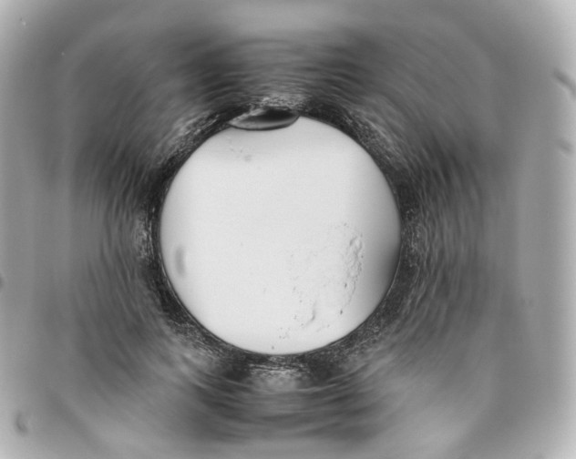 X0000095910743200802011150