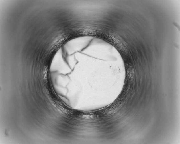 X0000095910744200802011150