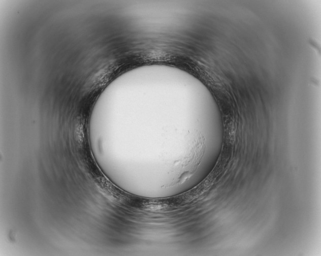 X0000095910746200802011150