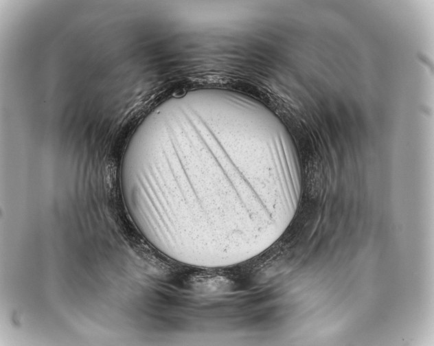 X0000095910747200802011150