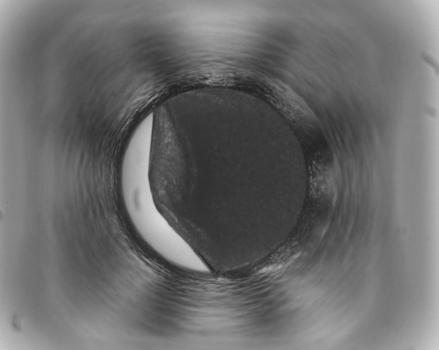 X0000095910748200802011150