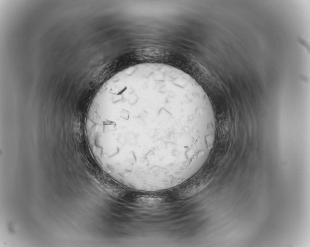 X0000095910749200802011150