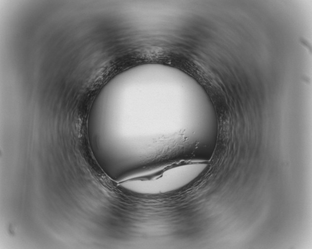 X0000095910750200802011150