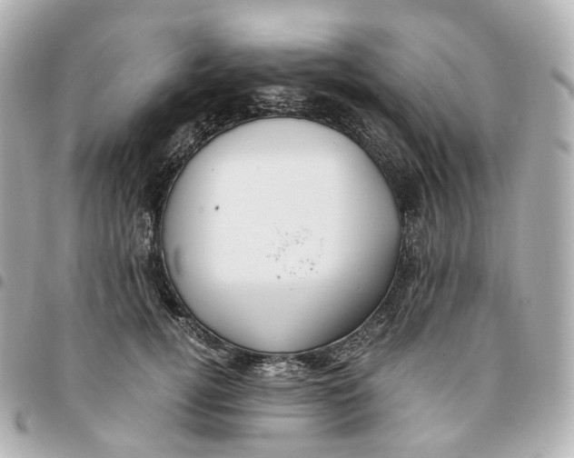 X0000095910752200802011150