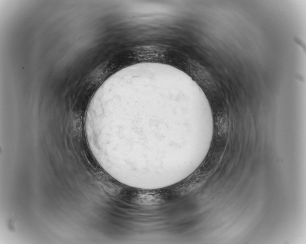 X0000095910753200802011150