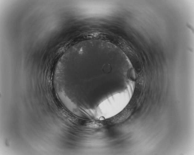 X0000095910754200802011150