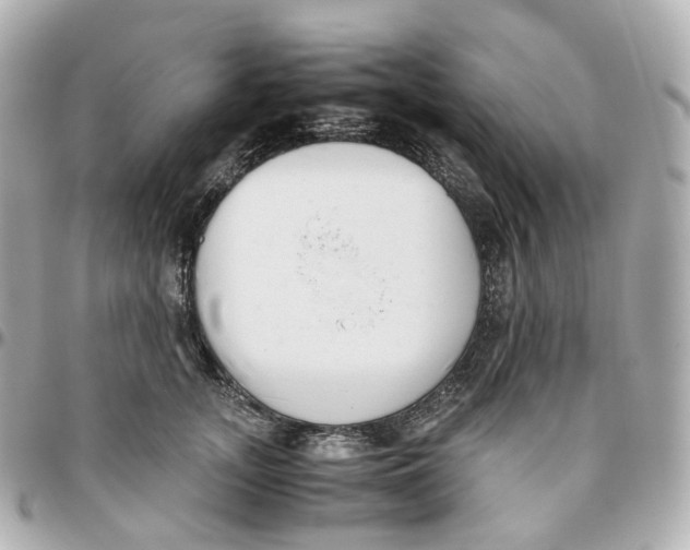 X0000095910755200802011150