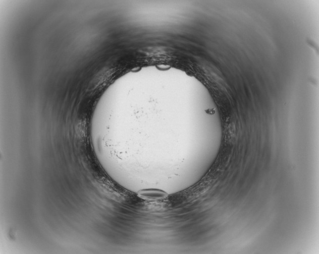 X0000095910756200802011150