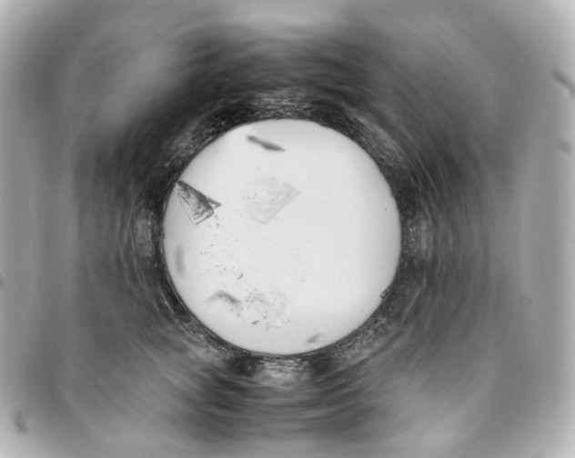 X0000095910757200802011150