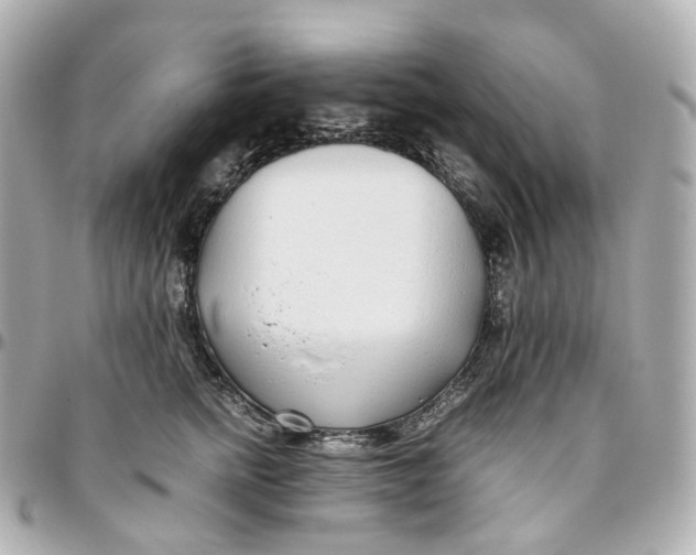 X0000095910758200802011150